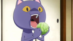 Cat eats lettuce
