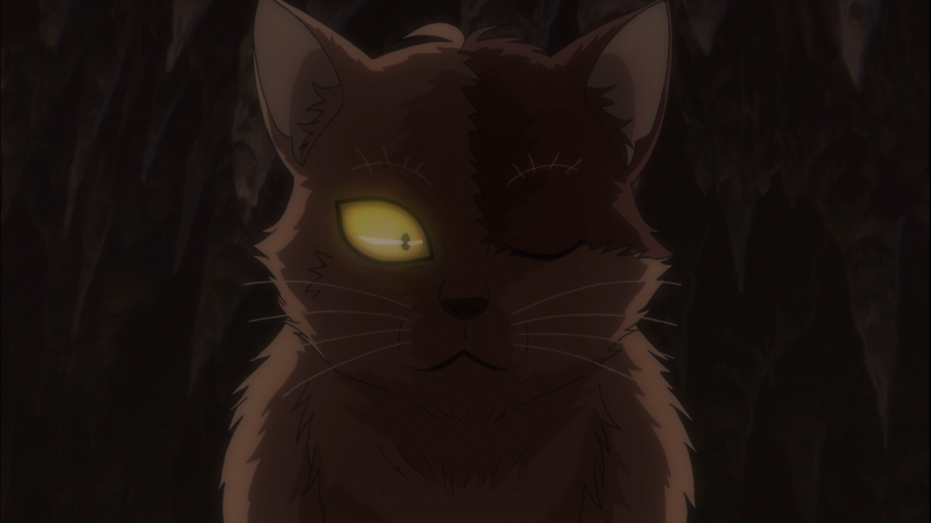 GeGeGe no Kitaro has been turned into a cat.